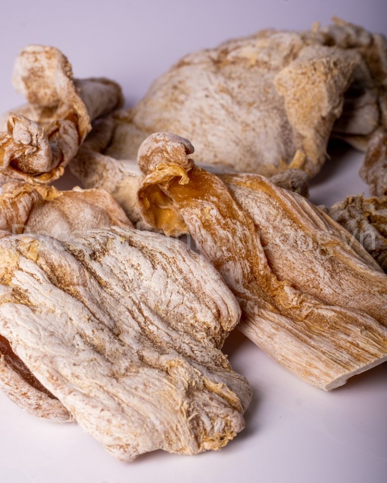 Măng Lưỡi Lợn